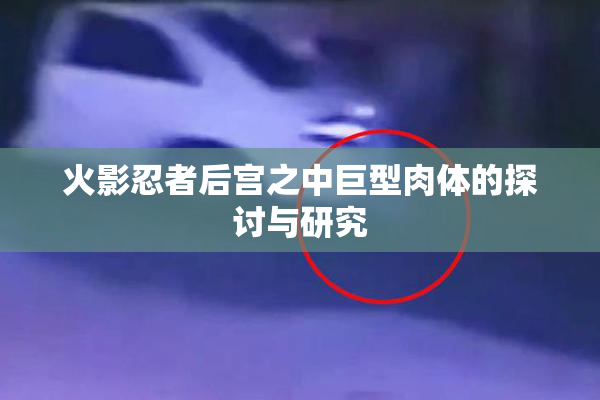 火影忍者后宫之中巨型肉体的探讨与研究