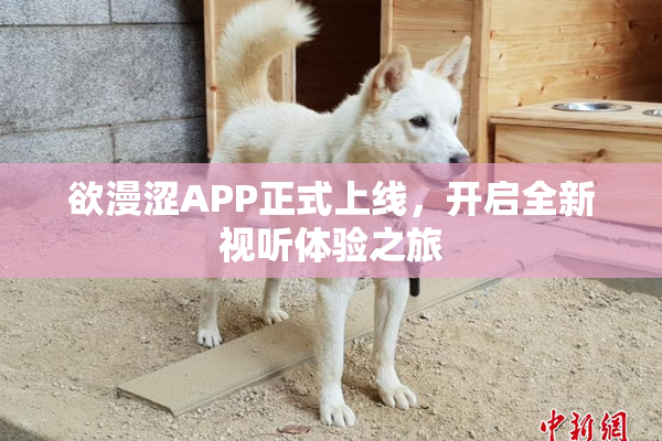 欲漫涩APP正式上线，开启全新视听体验之旅
