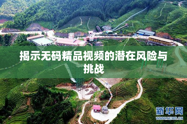 揭示无码精品视频的潜在风险与挑战