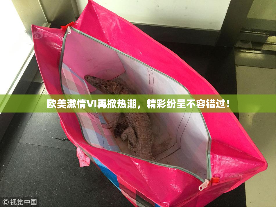 欧美激情VI再掀热潮，精彩纷呈不容错过！