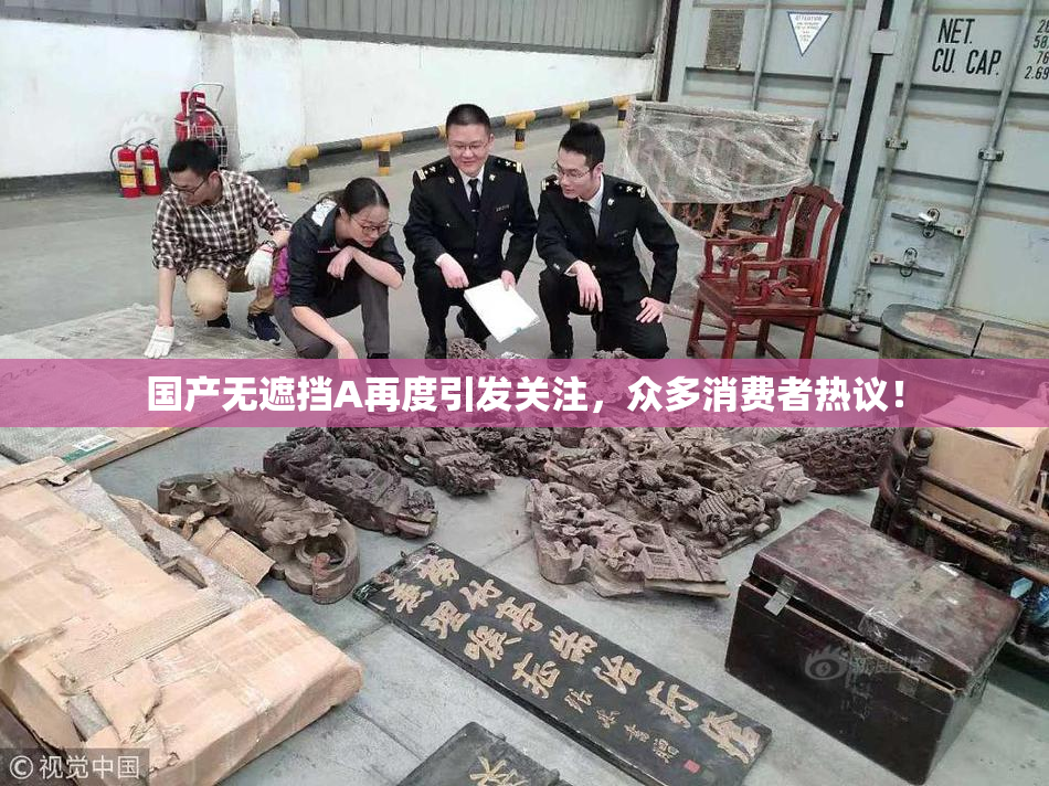 国产无遮挡A再度引发关注，众多消费者热议！