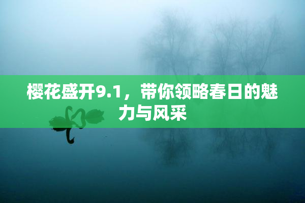 樱花盛开9.1，带你领略春日的魅力与风采