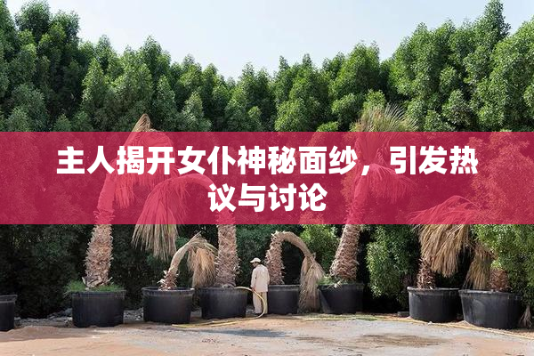 主人揭开女仆神秘面纱，引发热议与讨论