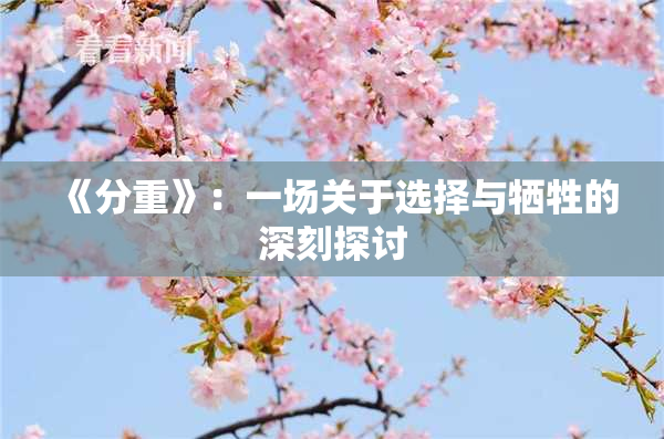 《分重》：一场关于选择与牺牲的深刻探讨