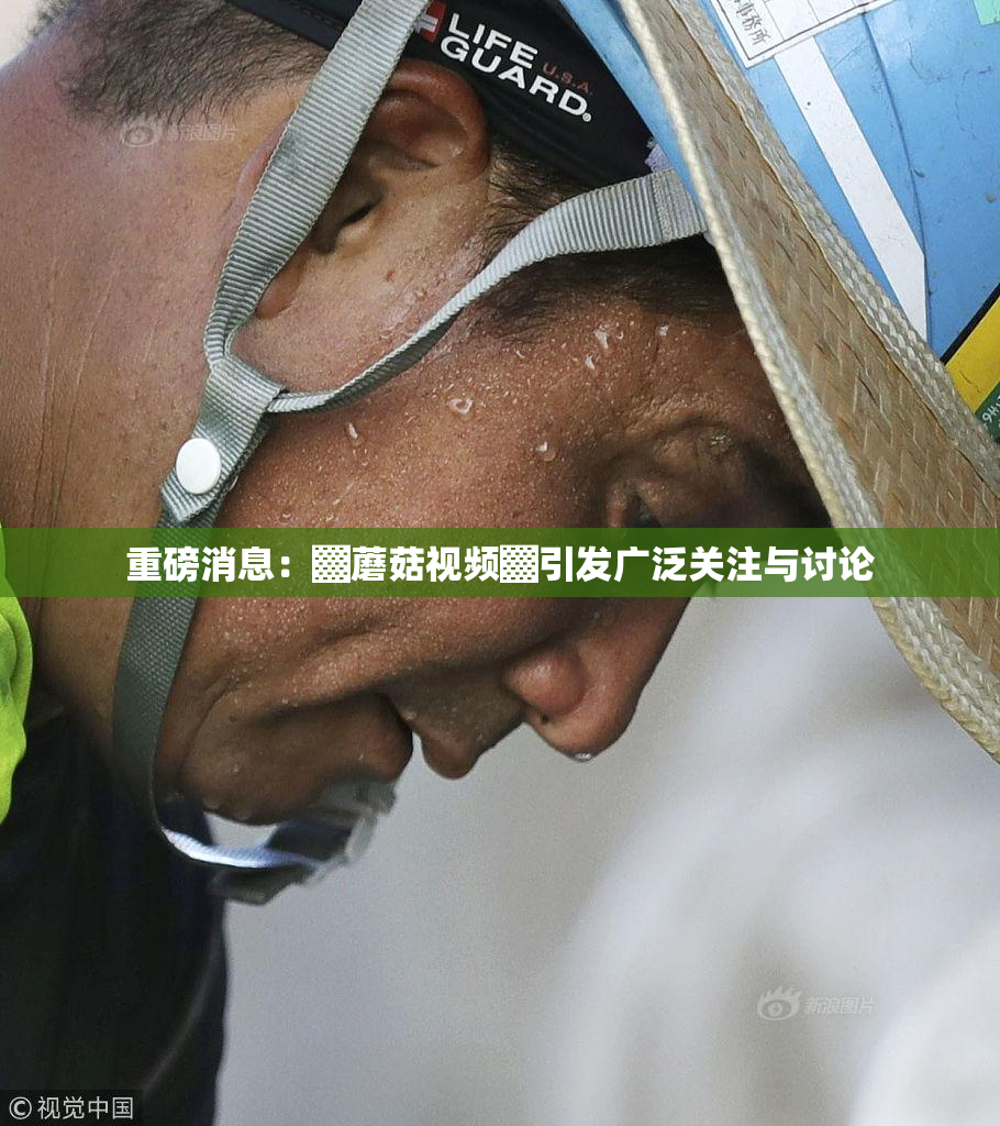 重磅消息：▓蘑菇视频▓引发广泛关注与讨论