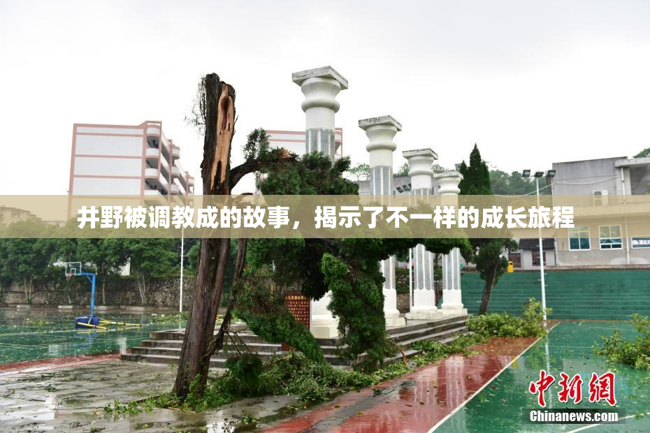 井野被调教成的故事，揭示了不一样的成长旅程