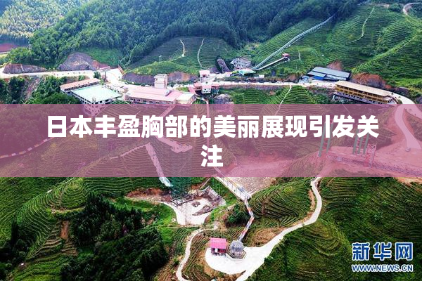 日本丰盈胸部的美丽展现引发关注