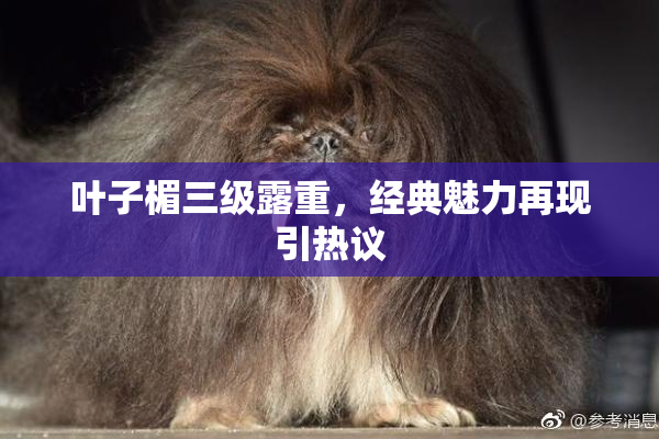 叶子楣三级露重，经典魅力再现引热议