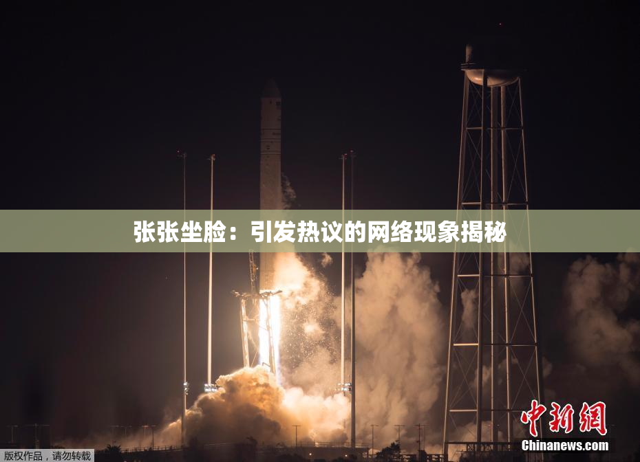 张张坐脸：引发热议的网络现象揭秘