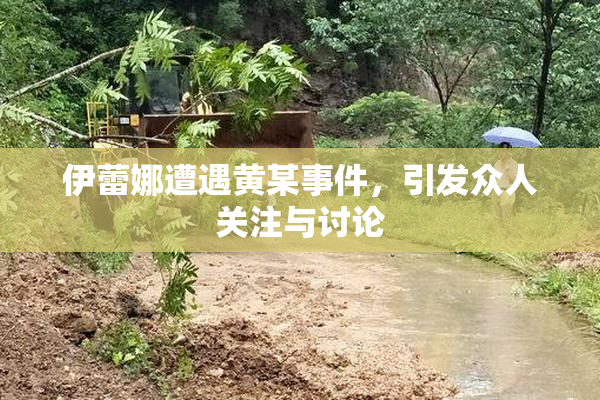 伊蕾娜遭遇黄某事件，引发众人关注与讨论