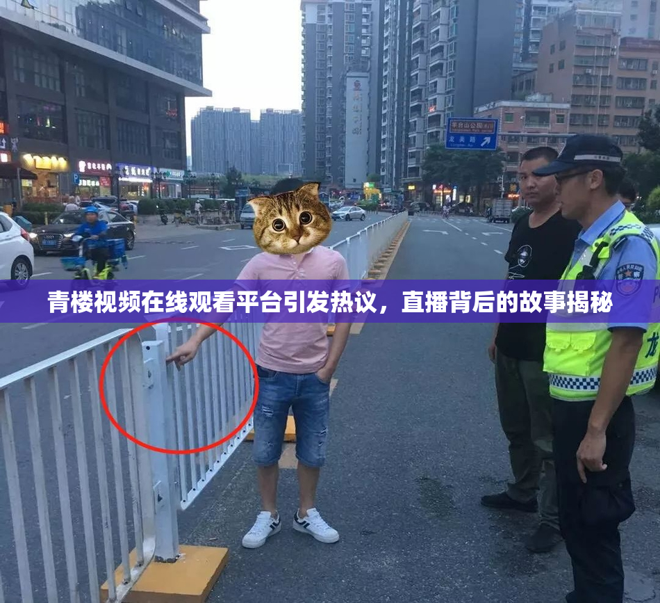 青楼视频在线观看平台引发热议，直播背后的故事揭秘