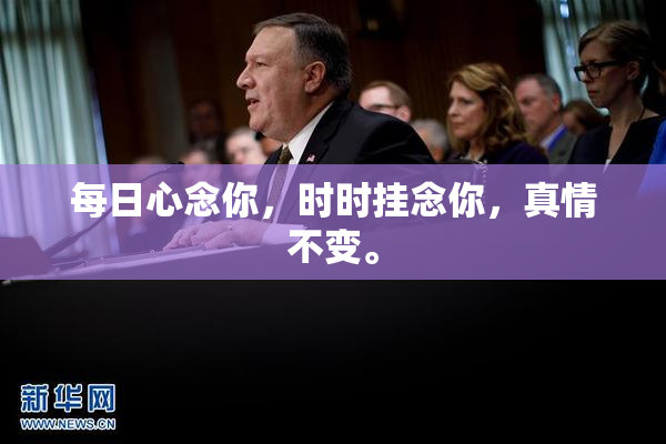 每日心念你，时时挂念你，真情不变。