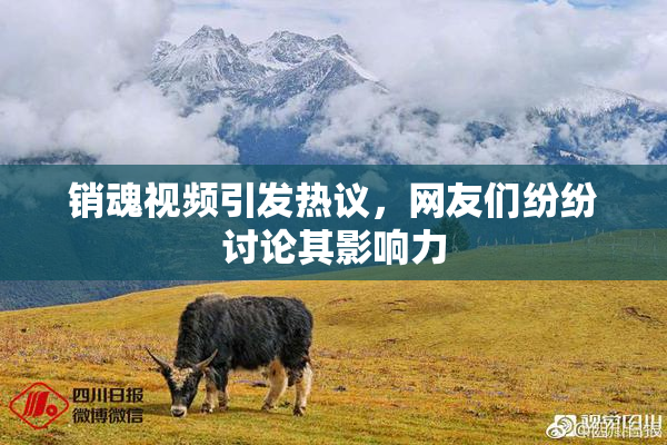 销魂视频引发热议，网友们纷纷讨论其影响力