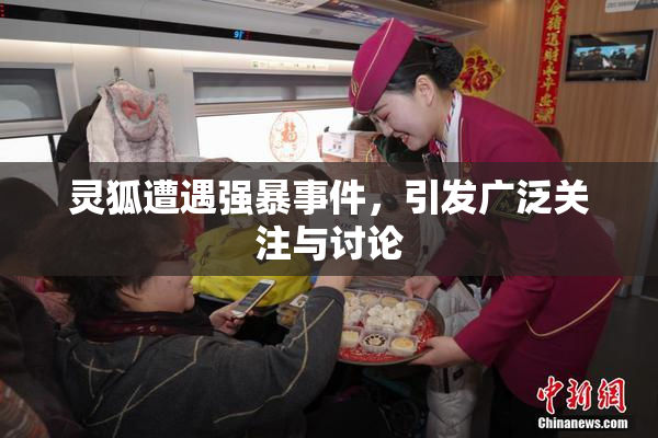 灵狐遭遇强暴事件，引发广泛关注与讨论