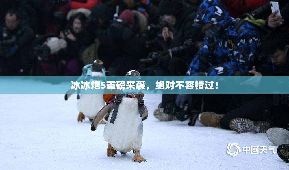 冰冰炮5重磅来袭，绝对不容错过！