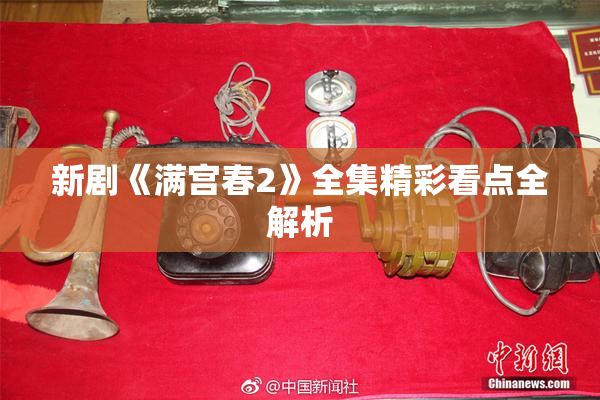 新剧《满宫春2》全集精彩看点全解析