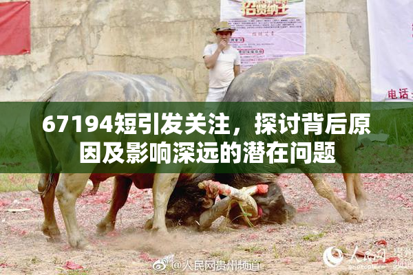 67194短引发关注，探讨背后原因及影响深远的潜在问题