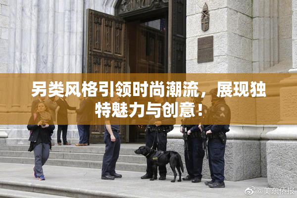 另类风格引领时尚潮流，展现独特魅力与创意！