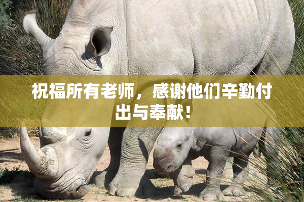 祝福所有老师，感谢他们辛勤付出与奉献！