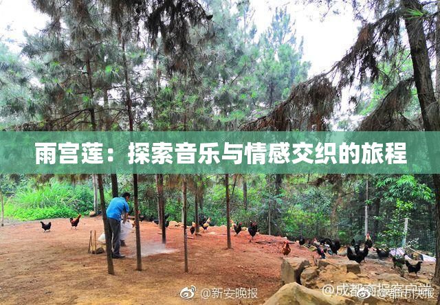 雨宫莲：探索音乐与情感交织的旅程