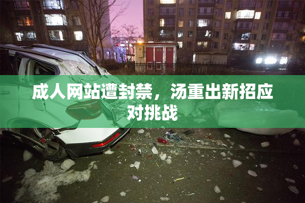 成人网站遭封禁，汤重出新招应对挑战