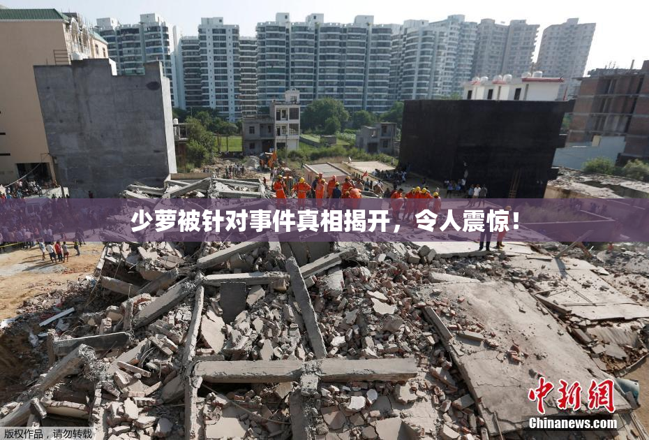 少萝被针对事件真相揭开，令人震惊！