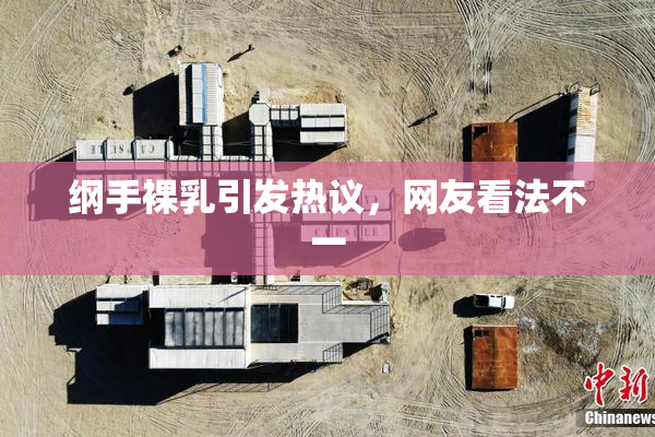 纲手裸乳引发热议，网友看法不一