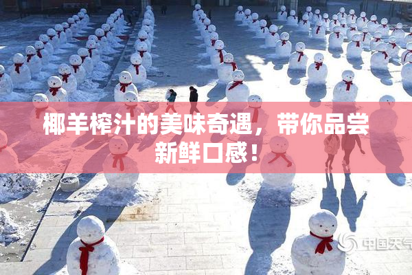椰羊榨汁的美味奇遇，带你品尝新鲜口感！