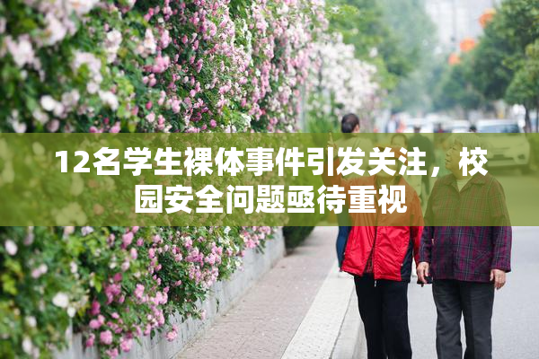 12名学生裸体事件引发关注，校园安全问题亟待重视