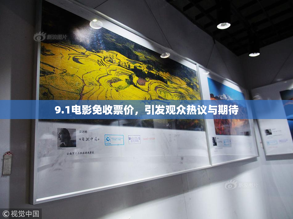 9.1电影免收票价，引发观众热议与期待
