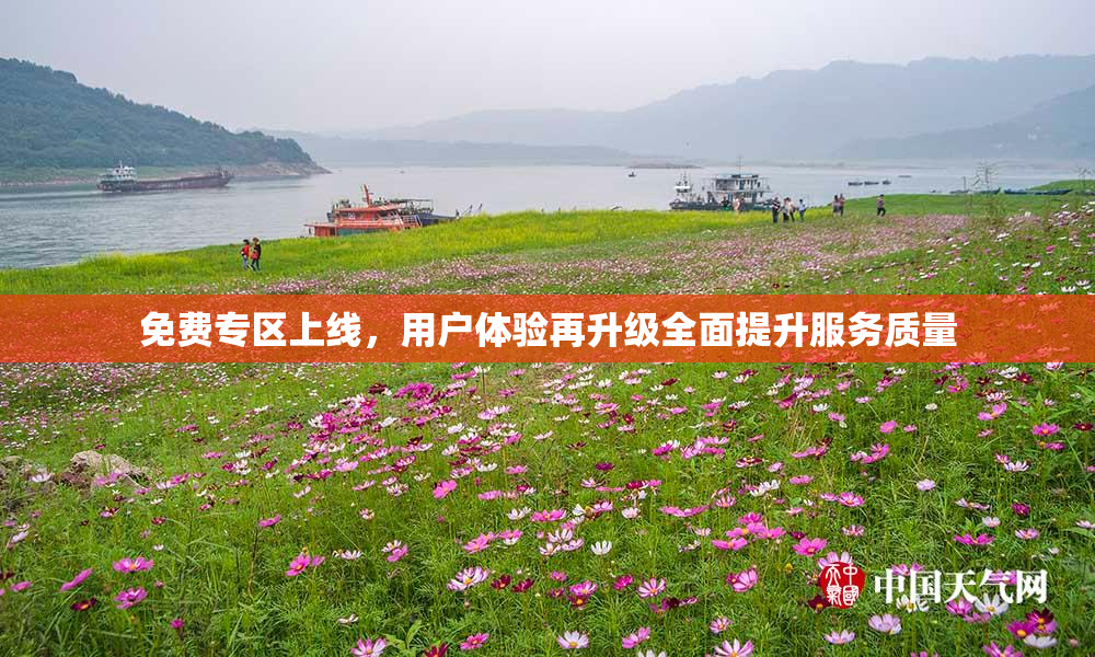 免费专区上线，用户体验再升级全面提升服务质量