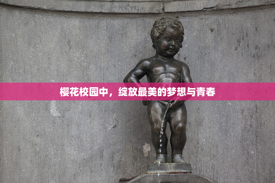 樱花校园中，绽放最美的梦想与青春