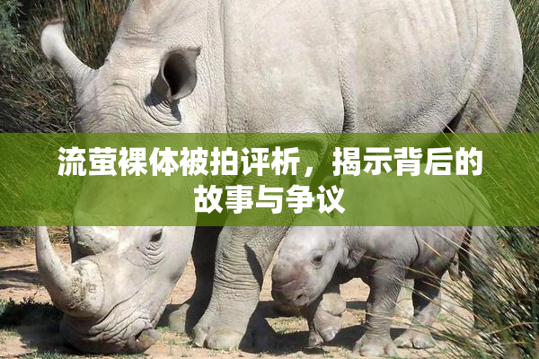 流萤裸体被拍评析，揭示背后的故事与争议