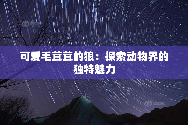 可爱毛茸茸的狼：探索动物界的独特魅力
