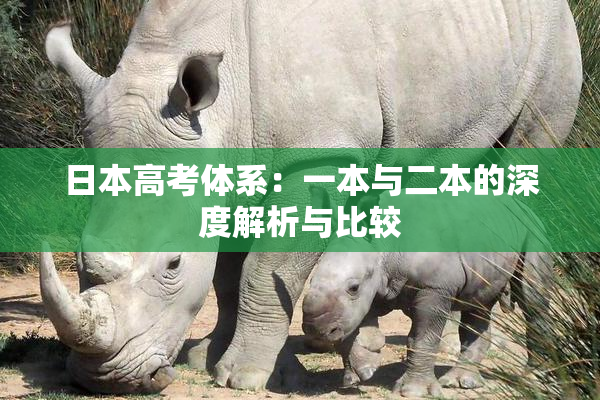 日本高考体系：一本与二本的深度解析与比较