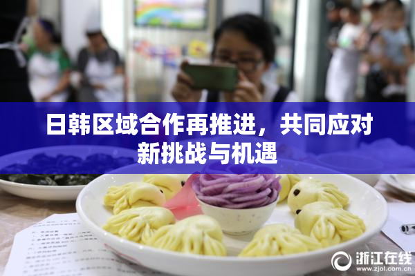 日韩区域合作再推进，共同应对新挑战与机遇