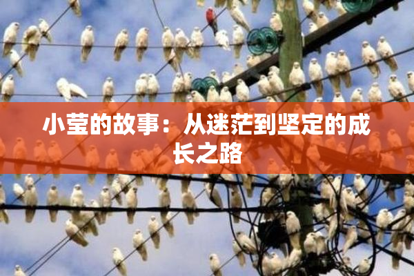 小莹的故事：从迷茫到坚定的成长之路