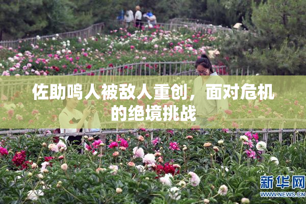 佐助鸣人被敌人重创，面对危机的绝境挑战