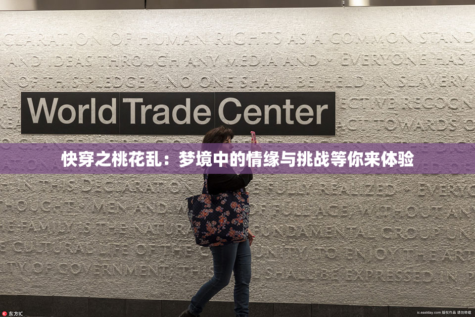 快穿之桃花乱：梦境中的情缘与挑战等你来体验