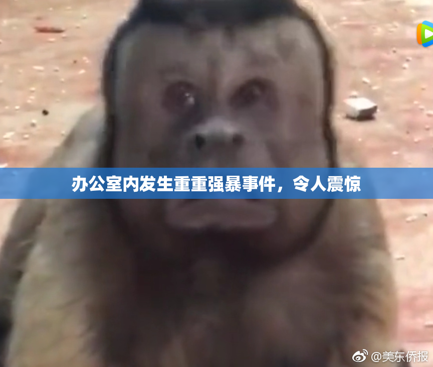 办公室内发生重重强暴事件，令人震惊