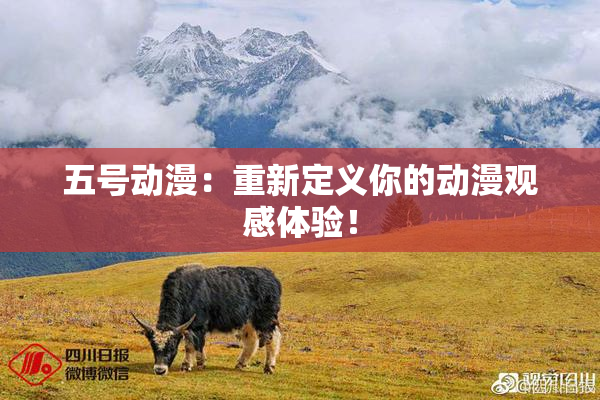 五号动漫：重新定义你的动漫观感体验！
