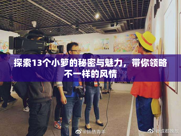 探索13个小箩的秘密与魅力，带你领略不一样的风情