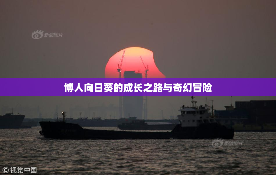 博人向日葵的成长之路与奇幻冒险