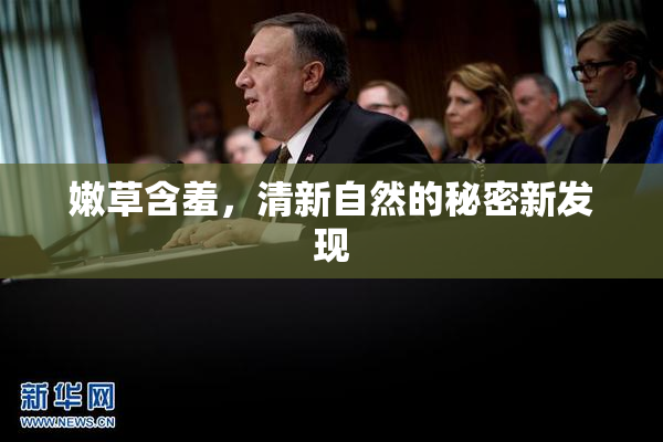 嫩草含羞，清新自然的秘密新发现