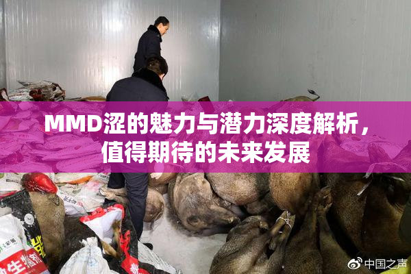 MMD涩的魅力与潜力深度解析，值得期待的未来发展