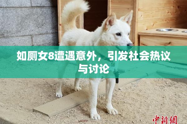 如厕女8遭遇意外，引发社会热议与讨论