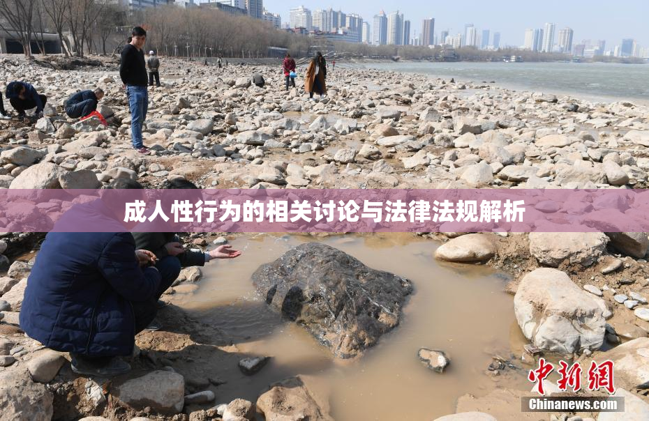 成人性行为的相关讨论与法律法规解析