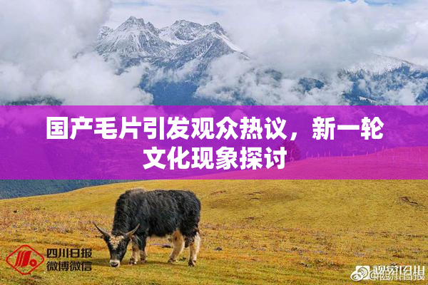 国产毛片引发观众热议，新一轮文化现象探讨