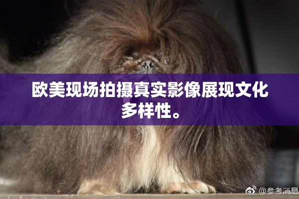 欧美现场拍摄真实影像展现文化多样性。