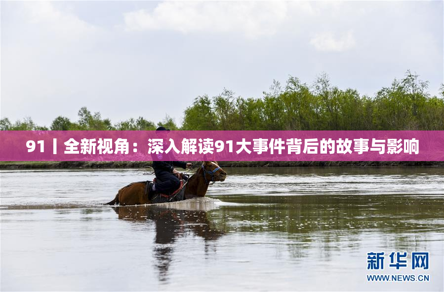 91丨全新视角：深入解读91大事件背后的故事与影响